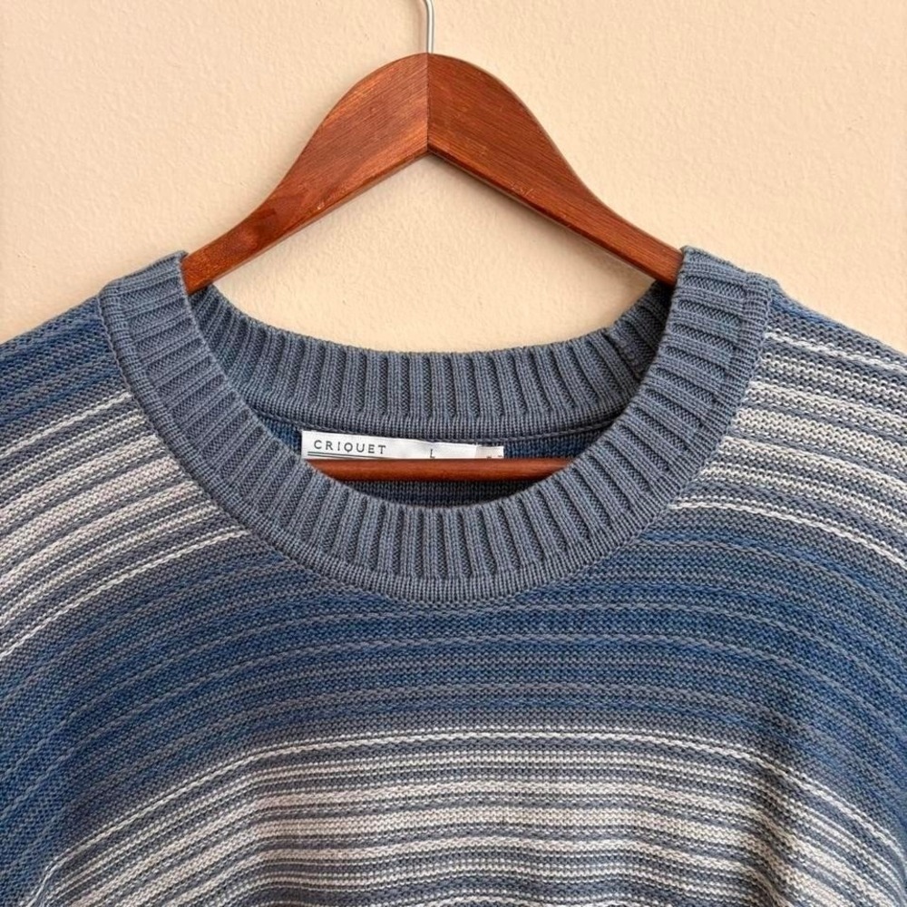 Modern Criquet Preppy Style Striped Blue and Grey Pima Cotton Pullover Sweater L